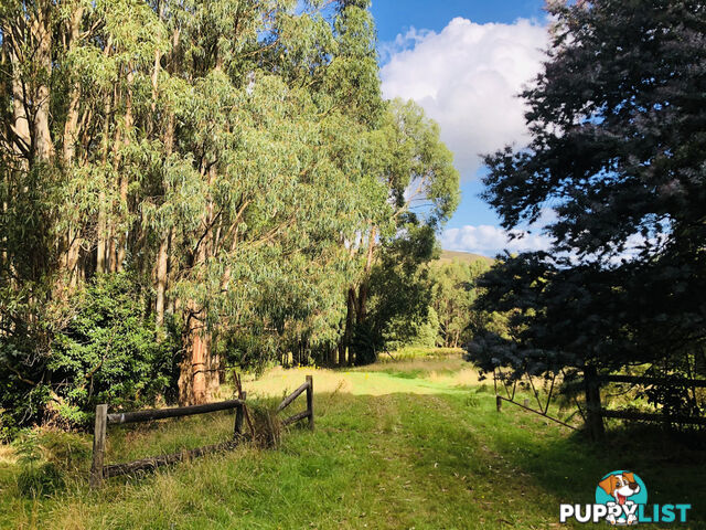 606 Woomera Creek Rd TOORA VIC 3962