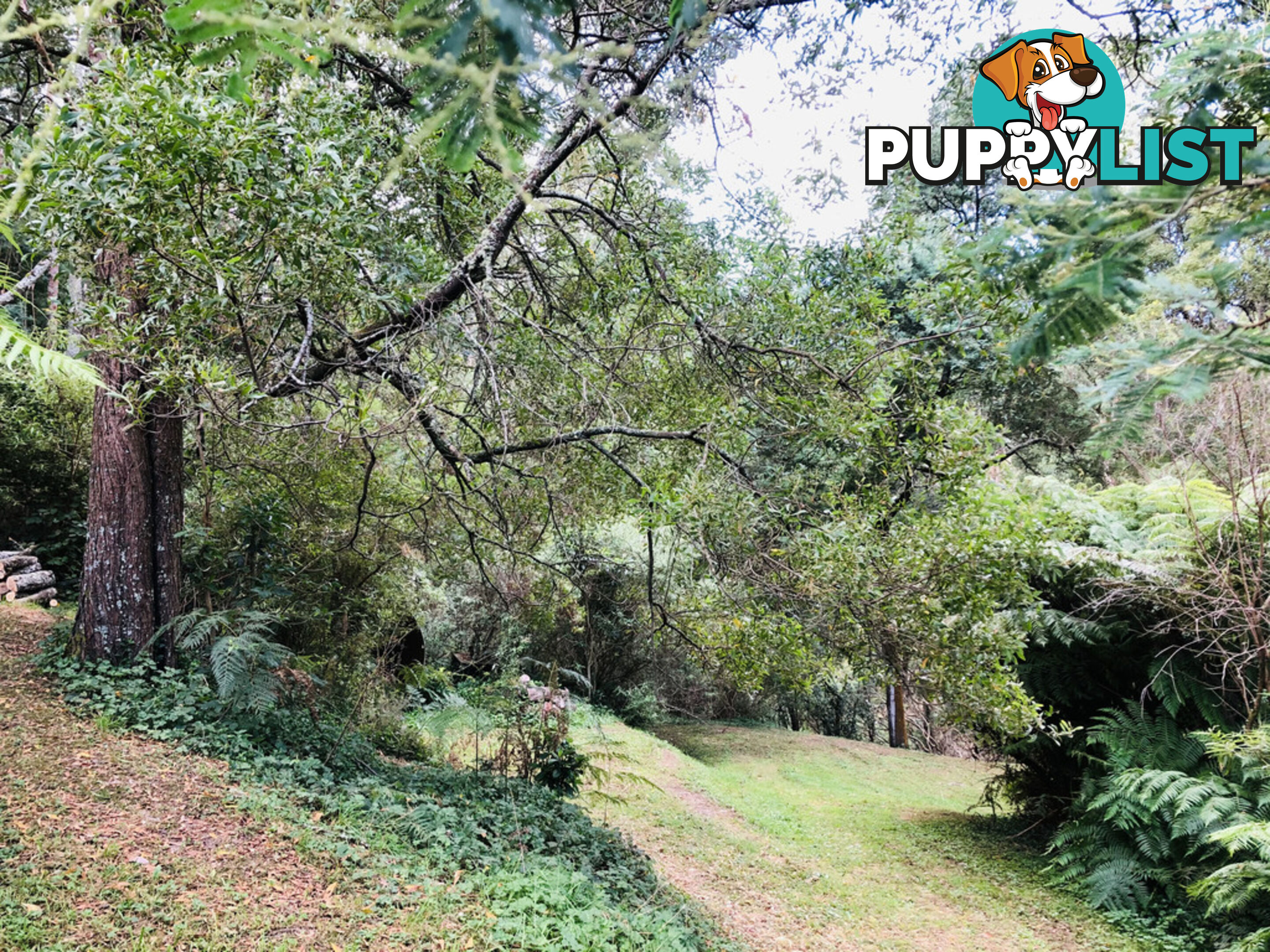 606 Woomera Creek Rd TOORA VIC 3962