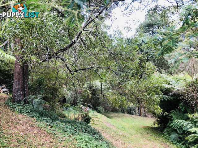 606 Woomera Creek Rd TOORA VIC 3962