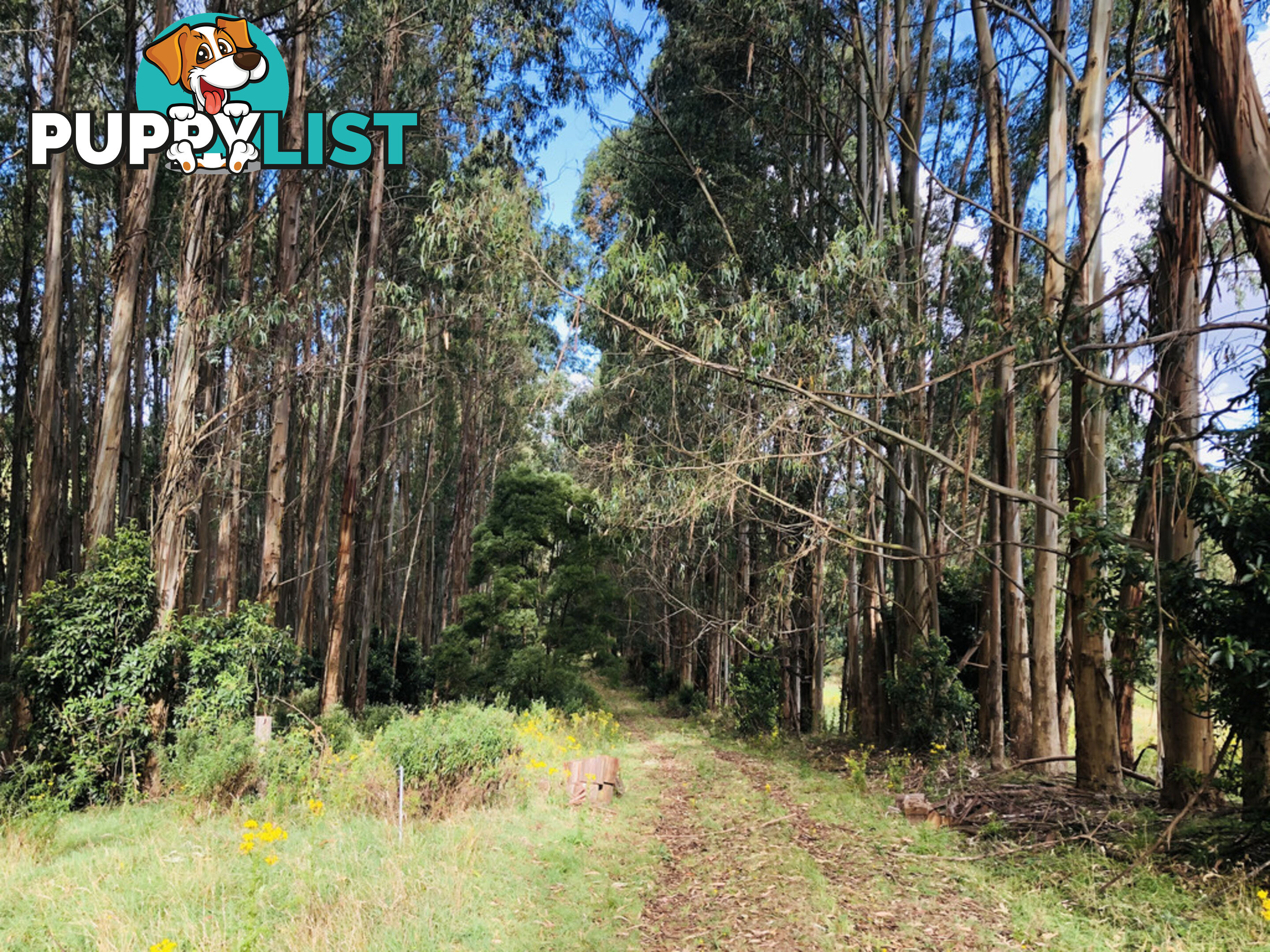 606 Woomera Creek Rd TOORA VIC 3962