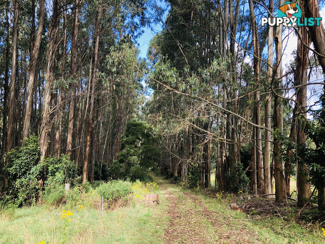 606 Woomera Creek Rd TOORA VIC 3962