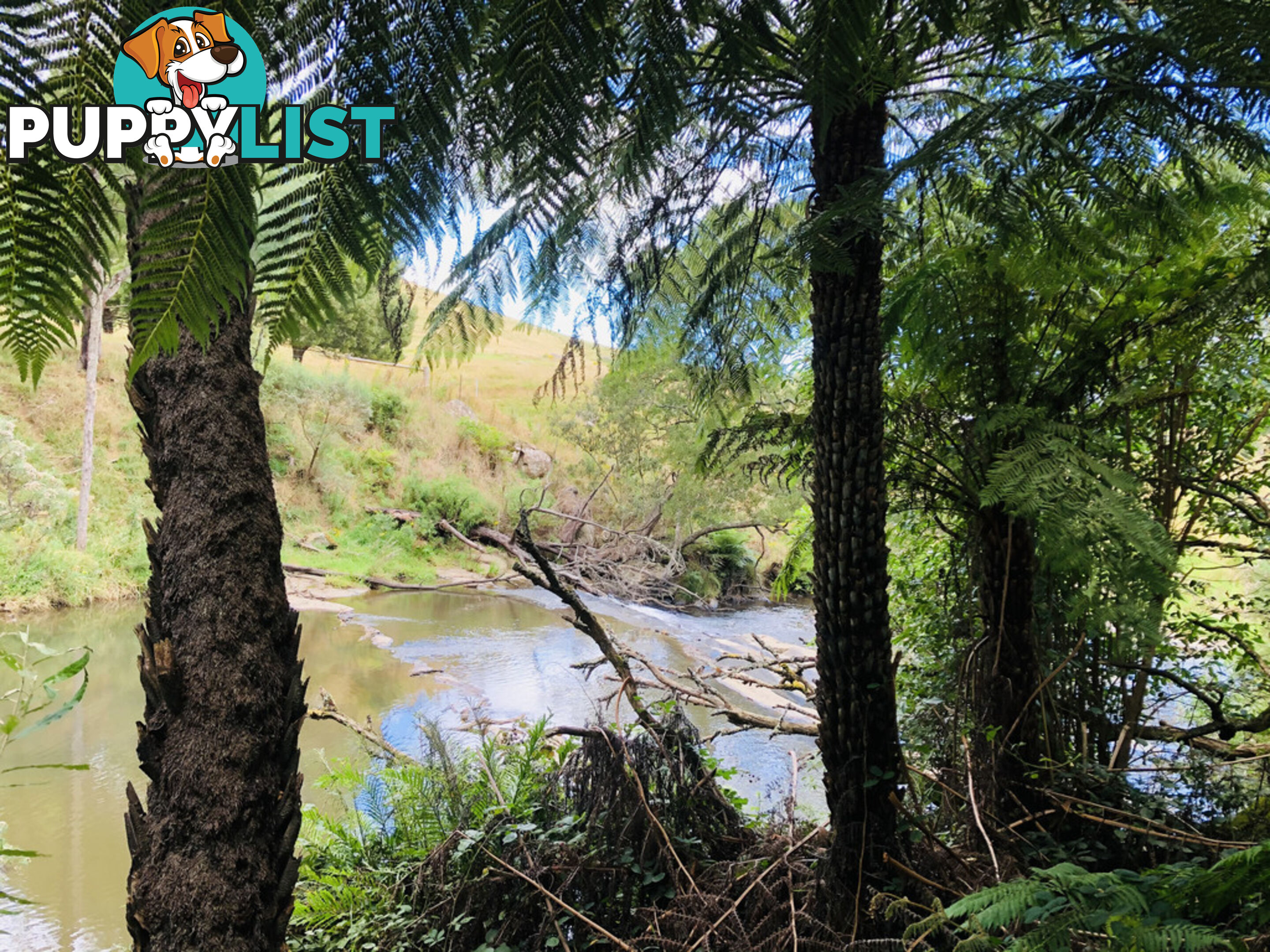 606 Woomera Creek Rd TOORA VIC 3962