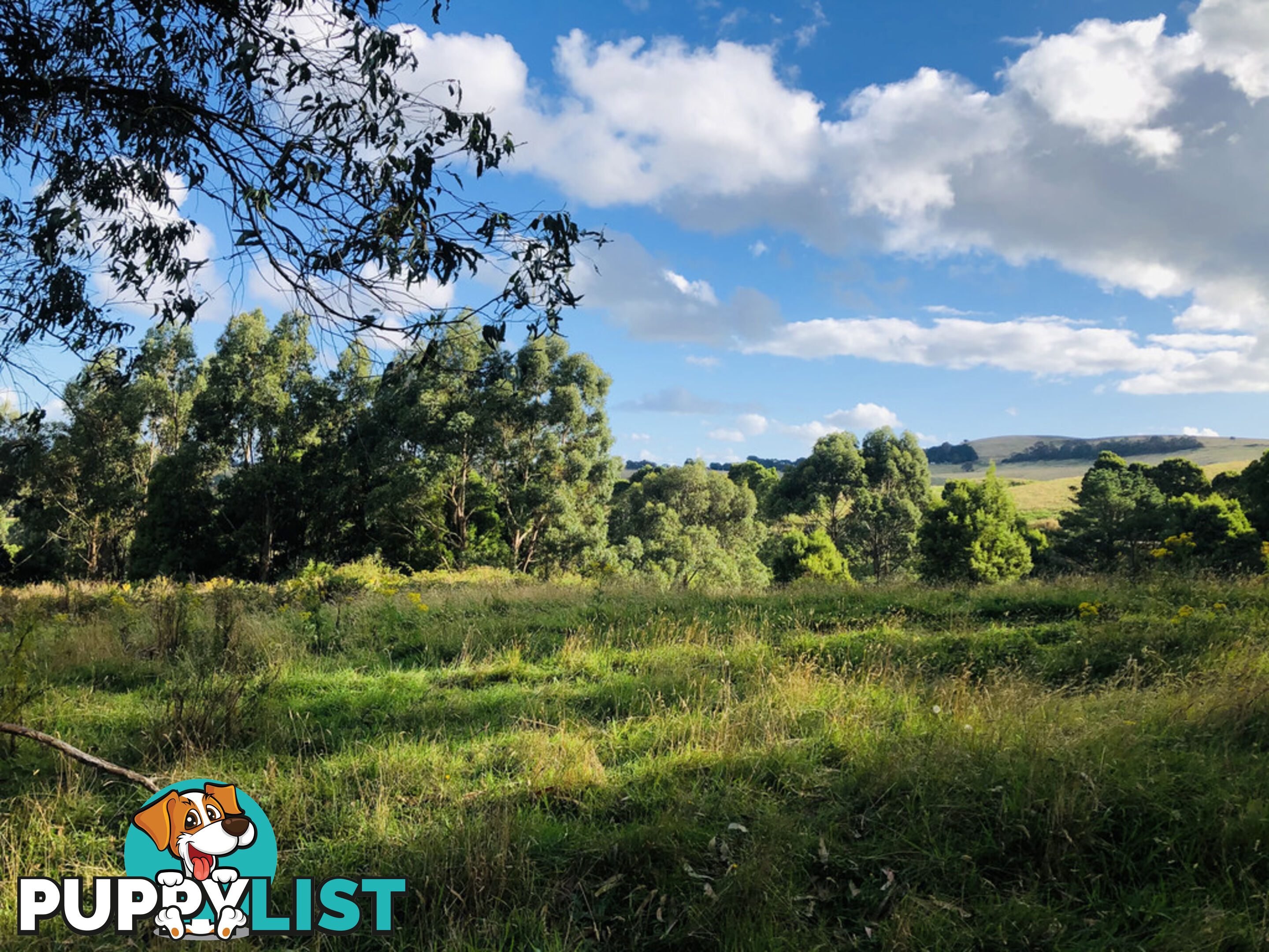 606 Woomera Creek Rd TOORA VIC 3962