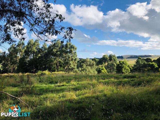 606 Woomera Creek Rd TOORA VIC 3962