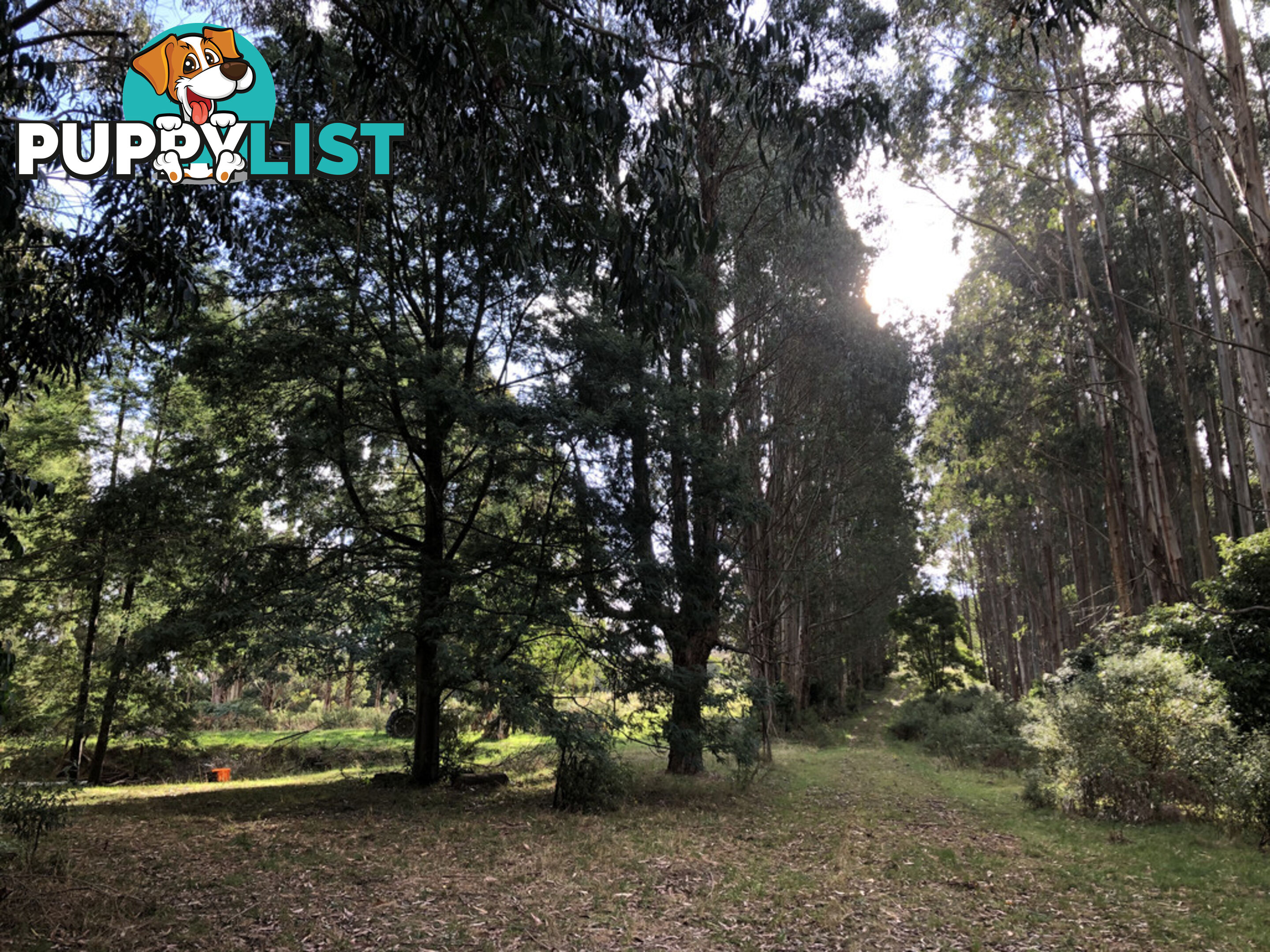606 Woomera Creek Rd TOORA VIC 3962