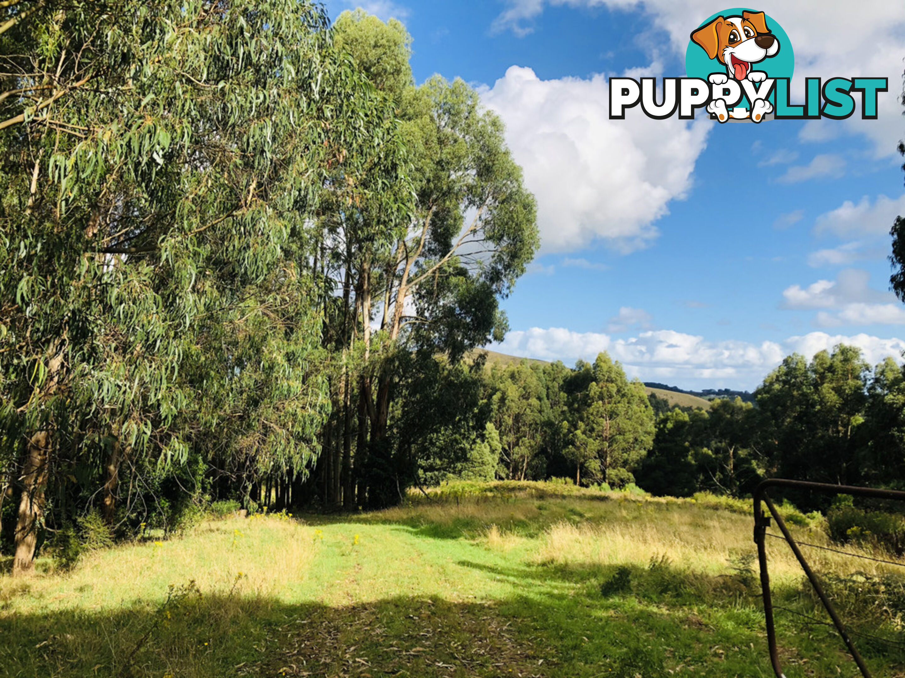 606 Woomera Creek Rd TOORA VIC 3962