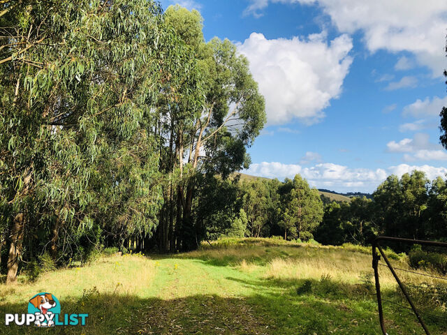 606 Woomera Creek Rd TOORA VIC 3962