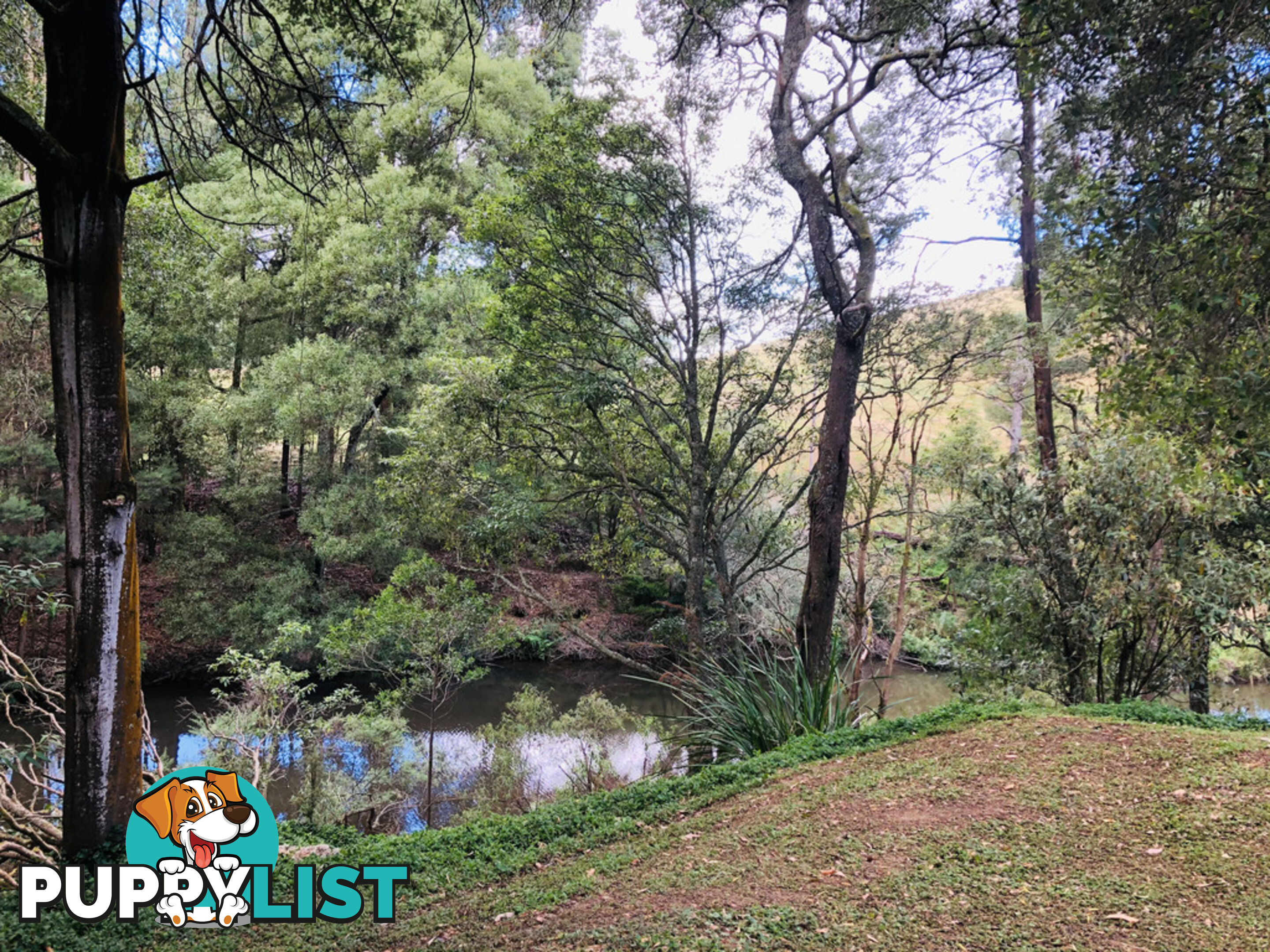 606 Woomera Creek Rd TOORA VIC 3962