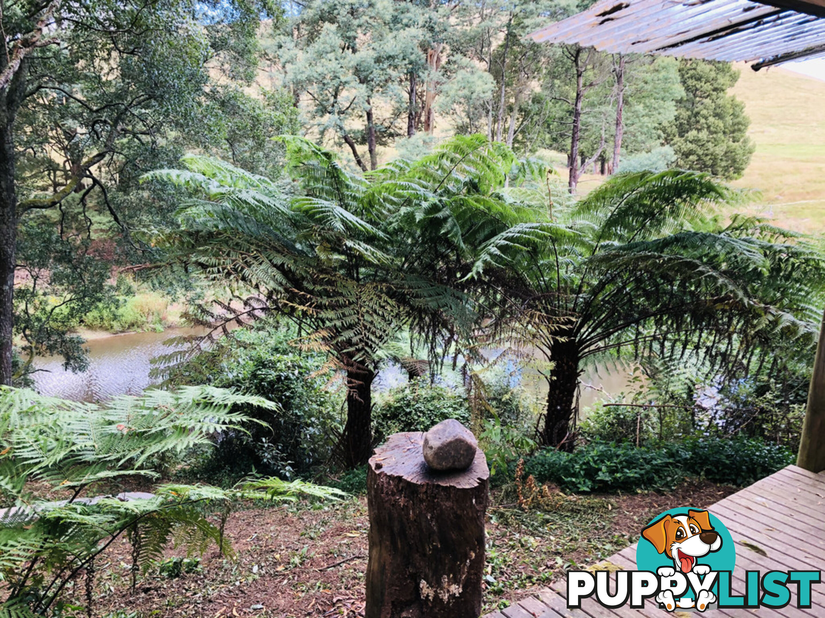 606 Woomera Creek Rd TOORA VIC 3962