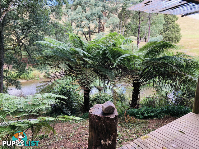 606 Woomera Creek Rd TOORA VIC 3962