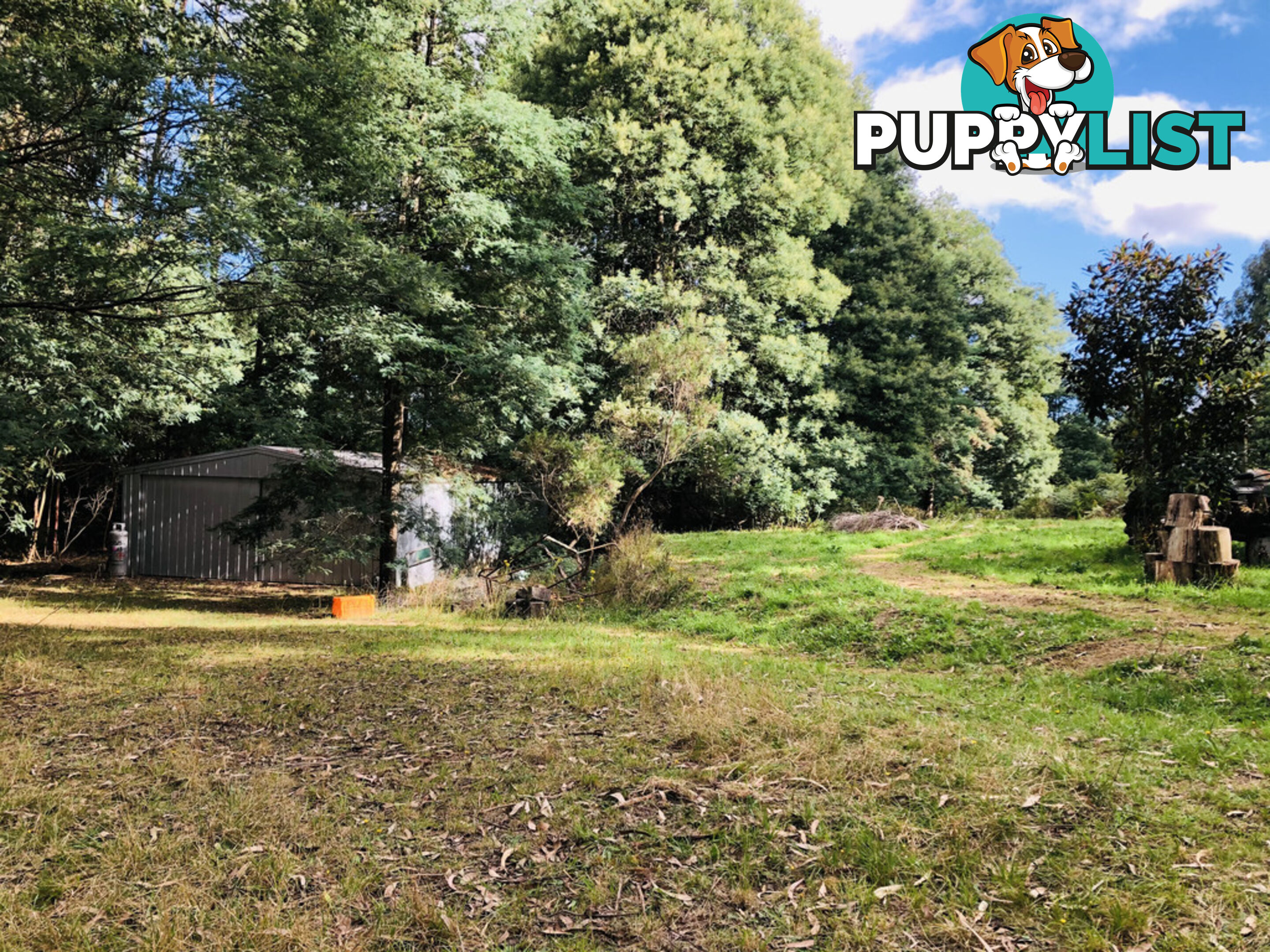 606 Woomera Creek Rd TOORA VIC 3962