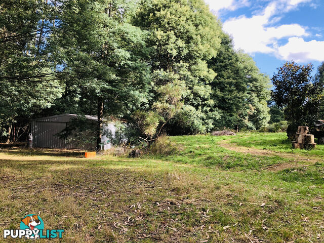 606 Woomera Creek Rd TOORA VIC 3962