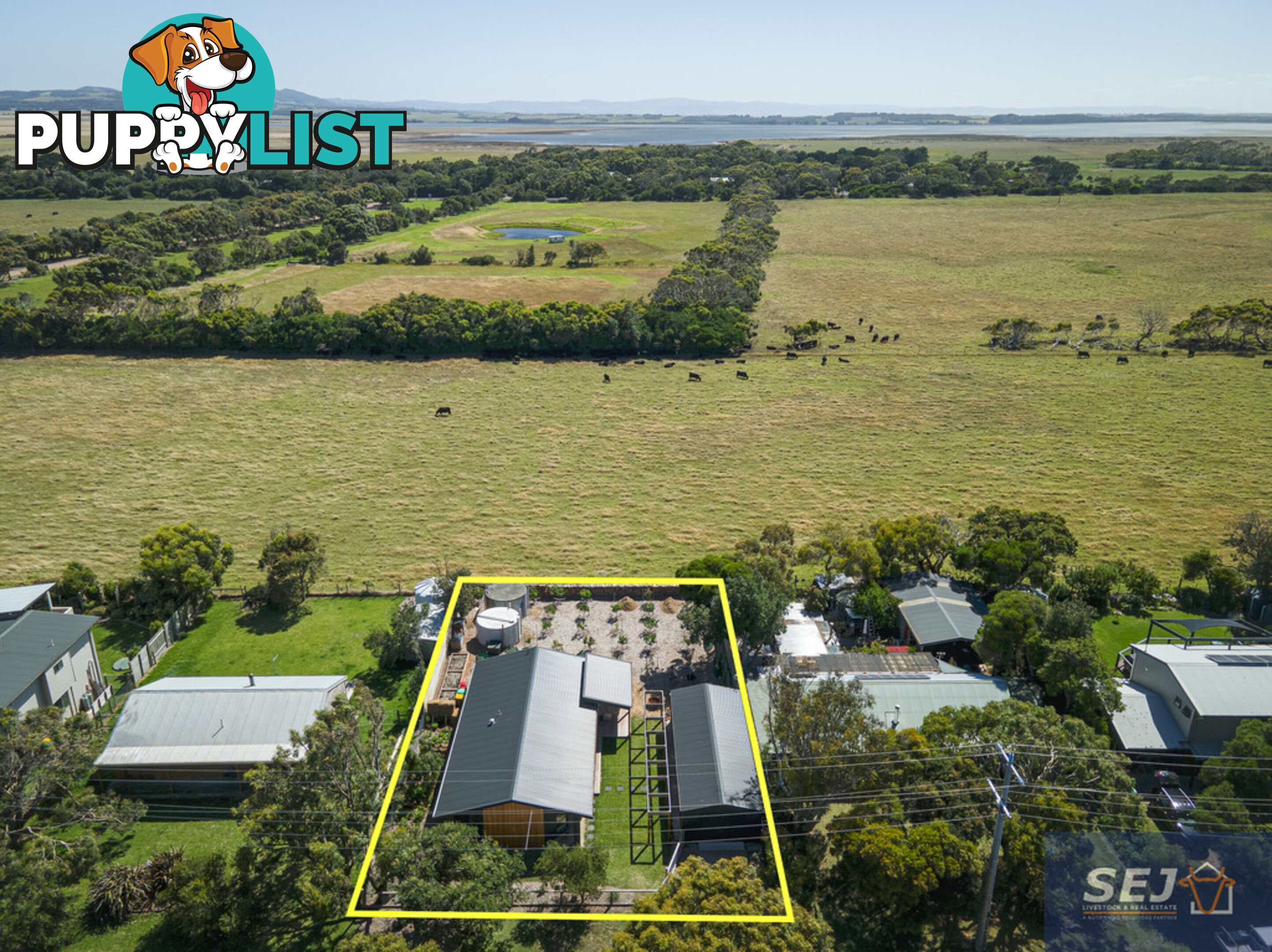 13 Ash Ave SANDY POINT VIC 3959