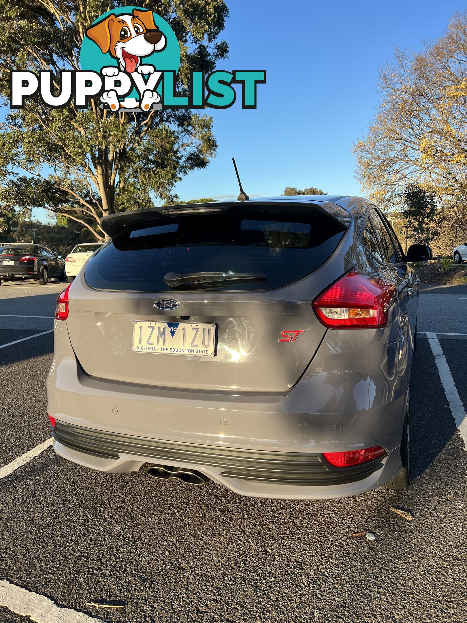 2017 Ford Focus ST Hatchback Manual