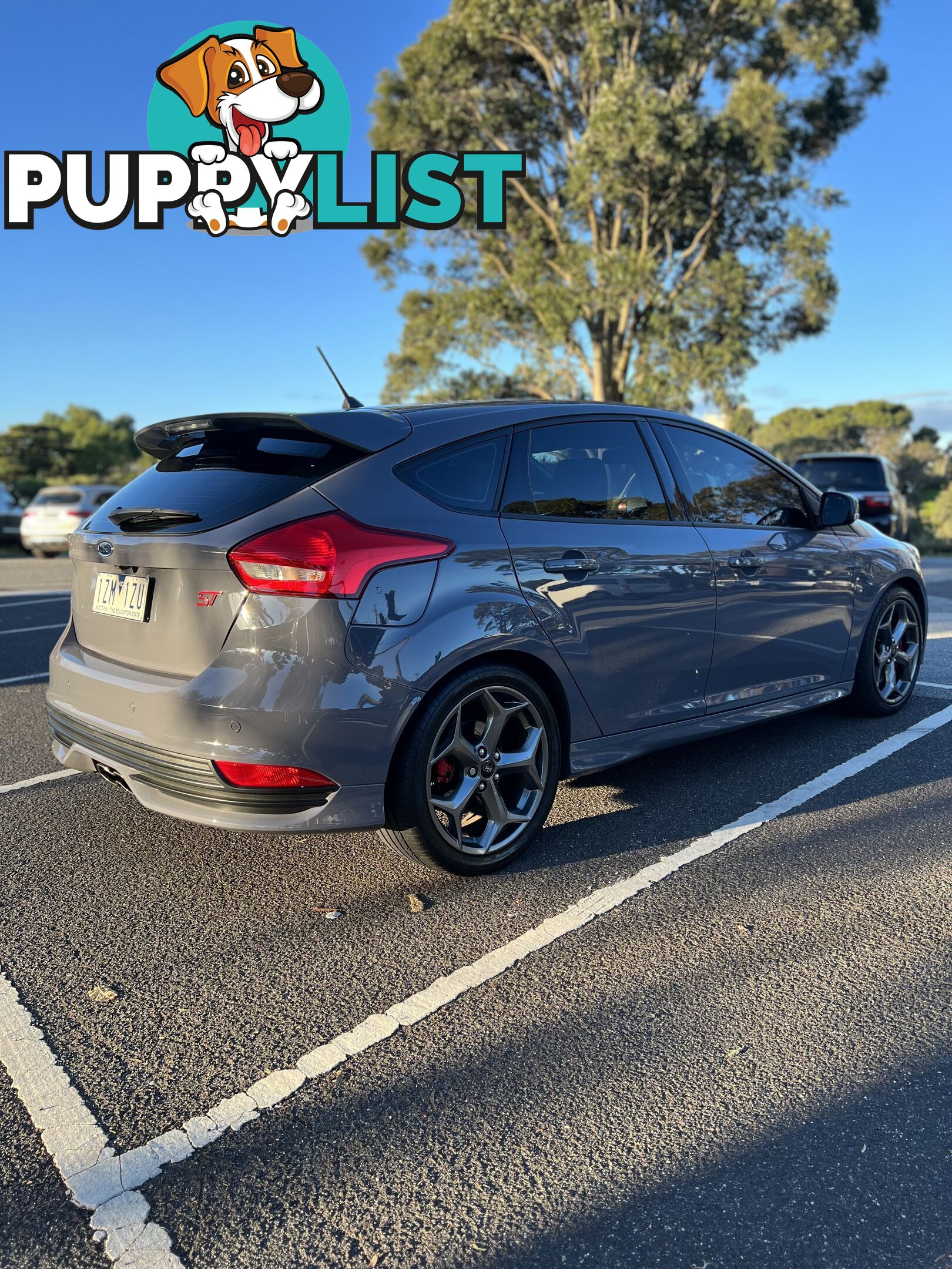 2017 Ford Focus ST Hatchback Manual