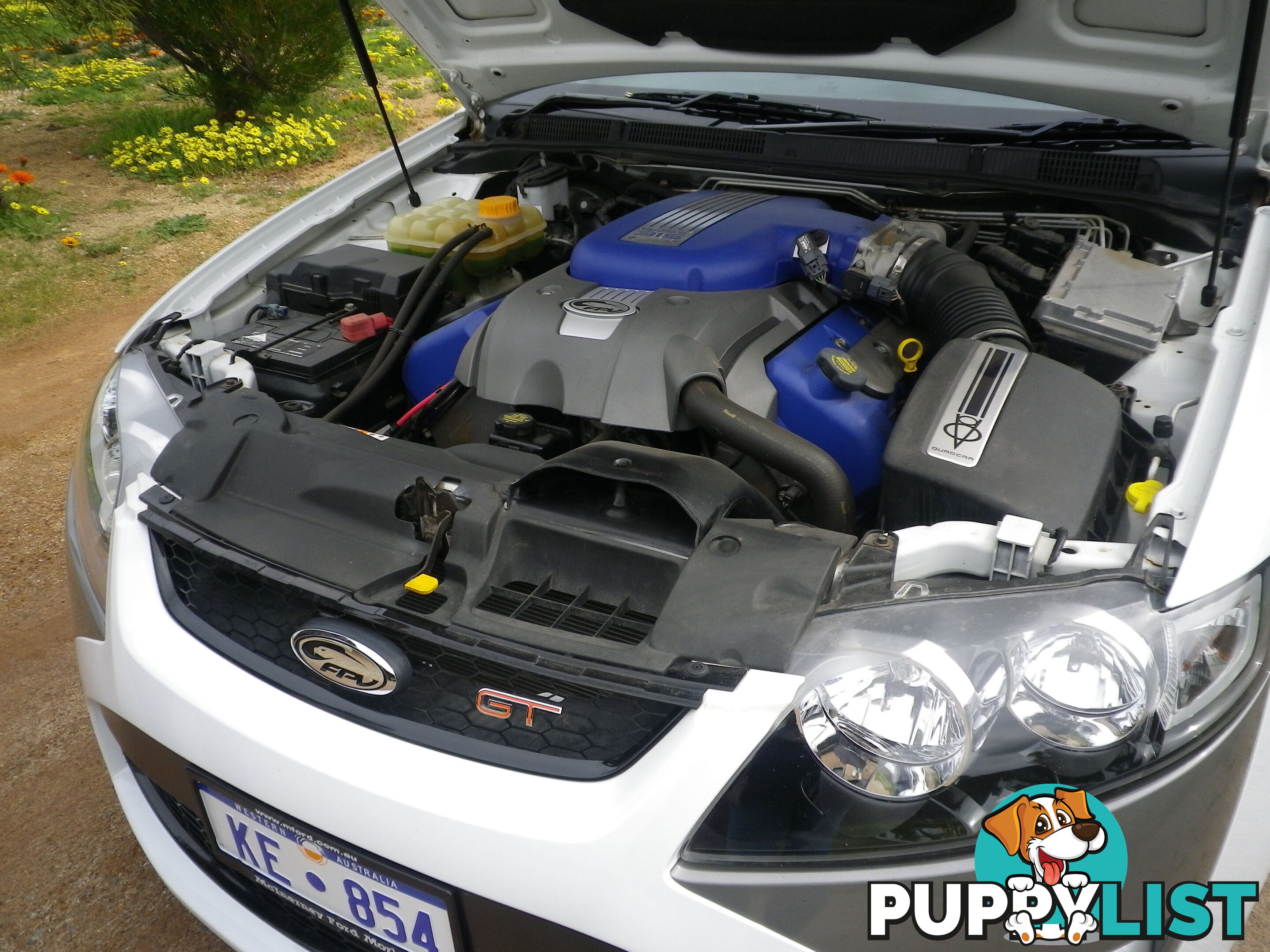 2009 Ford Falcon FG GT Sedan Automatic