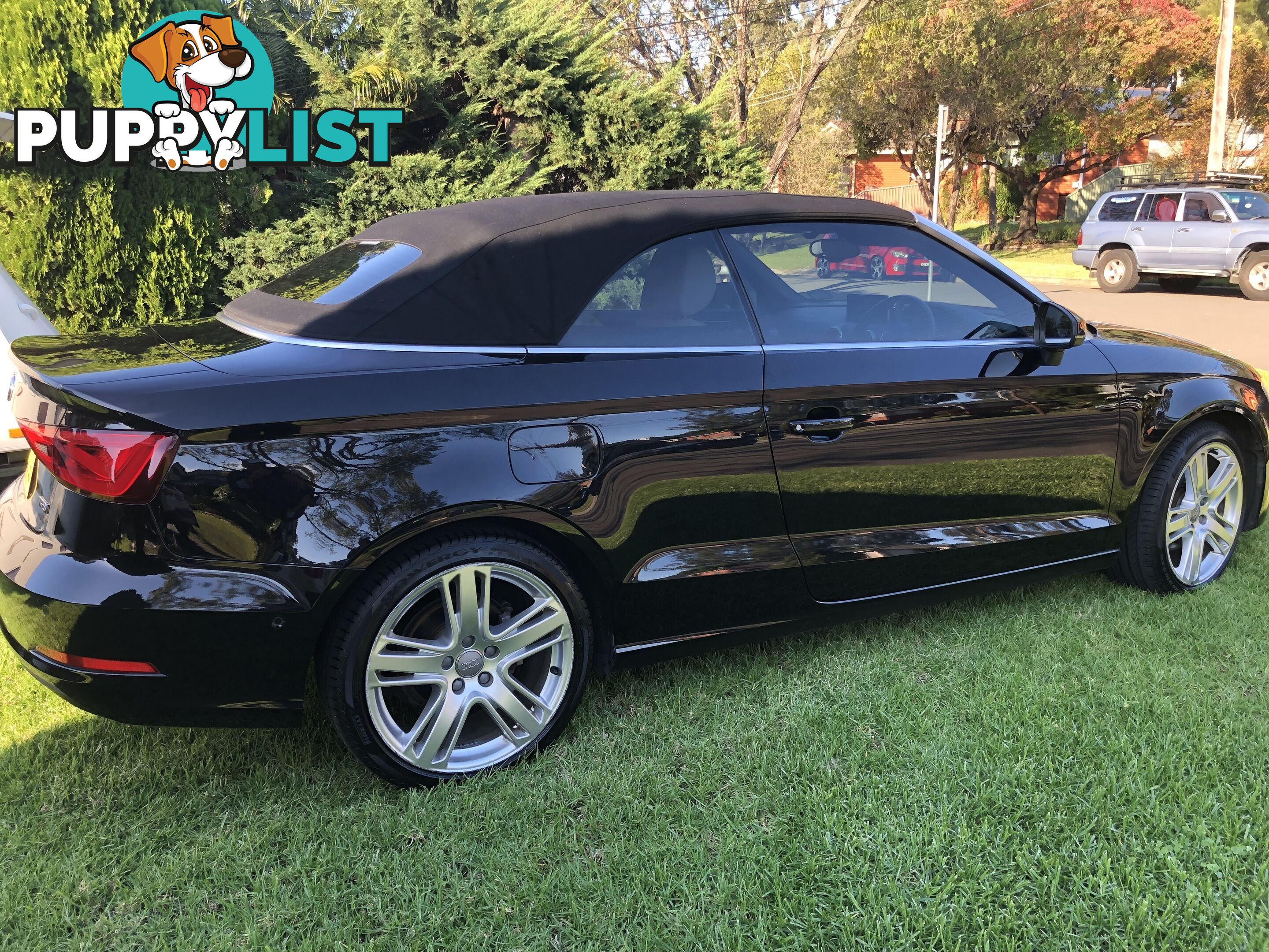 2015 Audi A3 8V MY15 Convertible Automatic