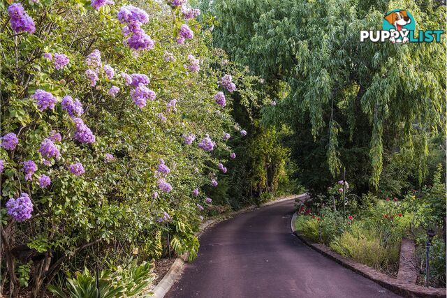 42 Kalamunda Road KALAMUNDA WA 6076