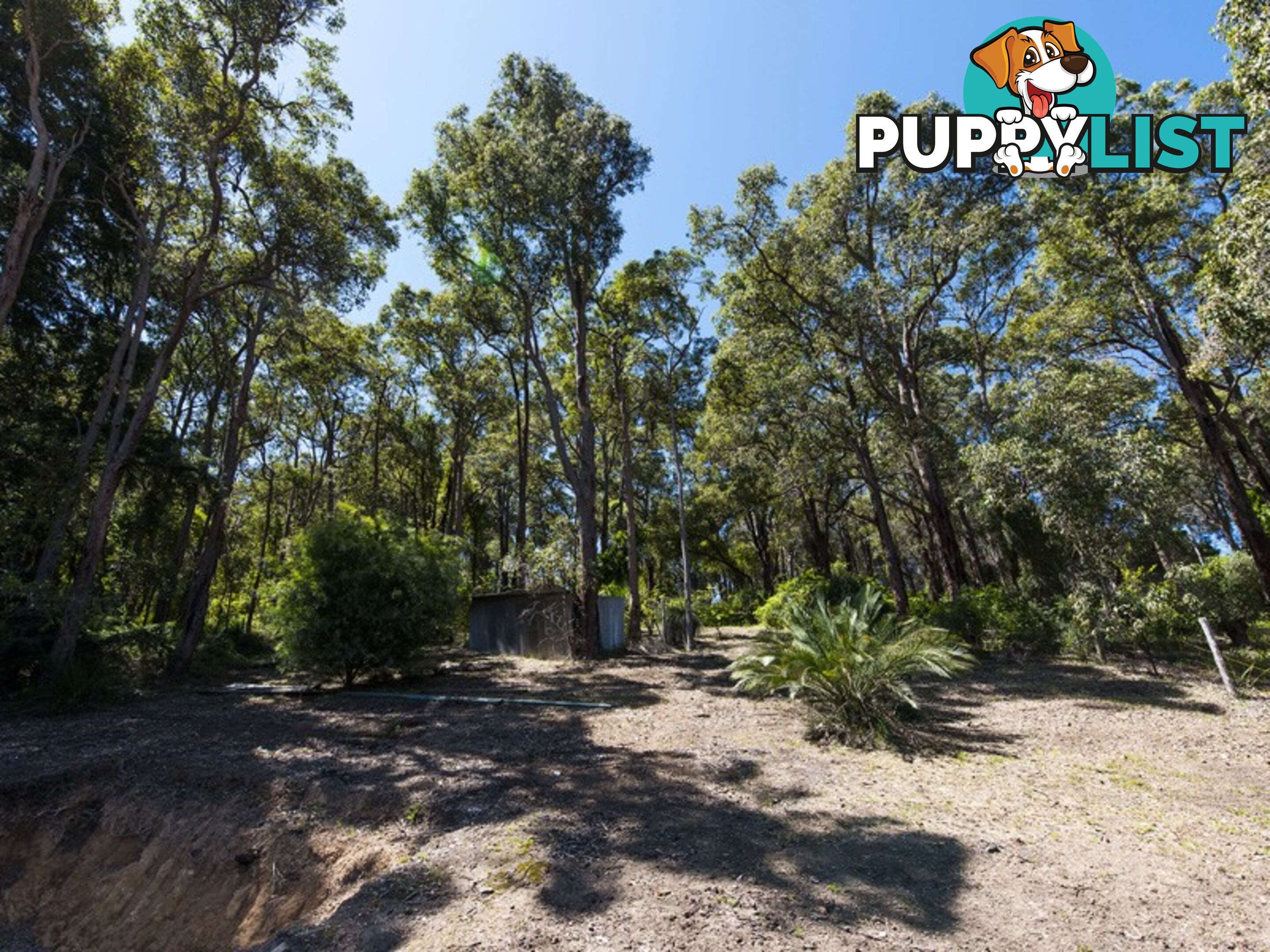 168 Orange Valley Road KALAMUNDA WA 6076