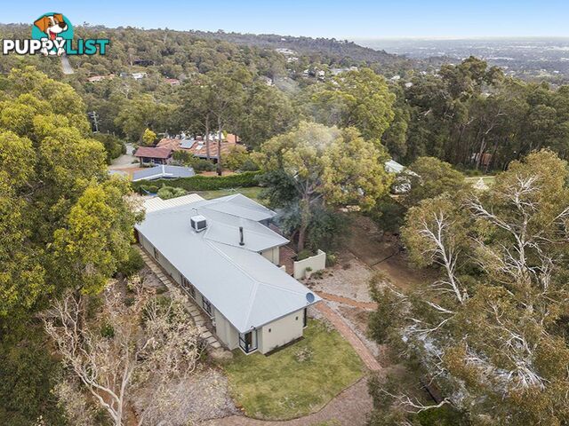 13 Farrant Street GOOSEBERRY HILL WA 6076