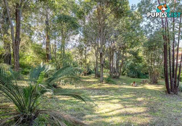 55 Ledger Road GOOSEBERRY HILL WA 6076