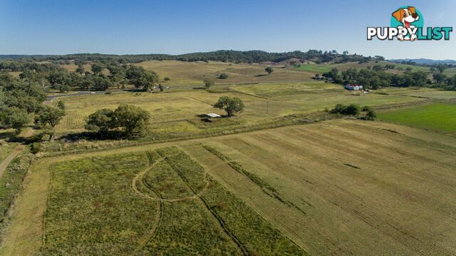 Bell River Mitchell Highway NEUREA NSW 2820