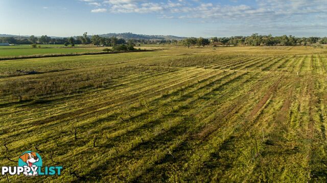 Bell River Mitchell Highway NEUREA NSW 2820