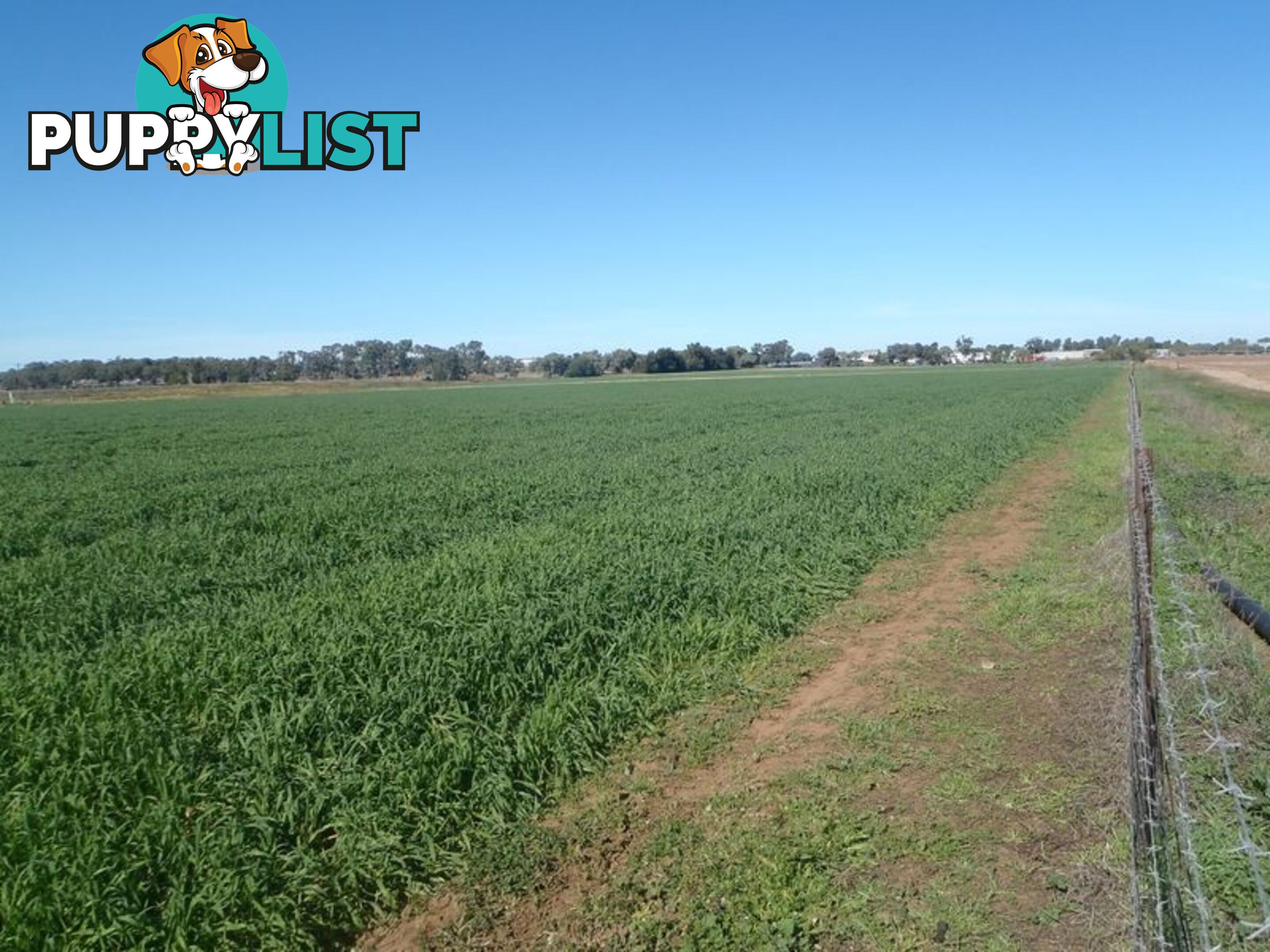 Lot 41 Old Gilgandra Road DUBBO NSW 2830