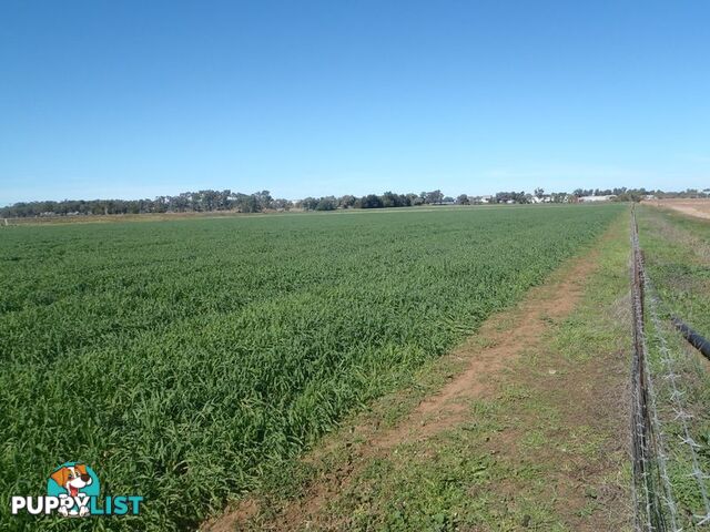 Lot 41 Old Gilgandra Road DUBBO NSW 2830