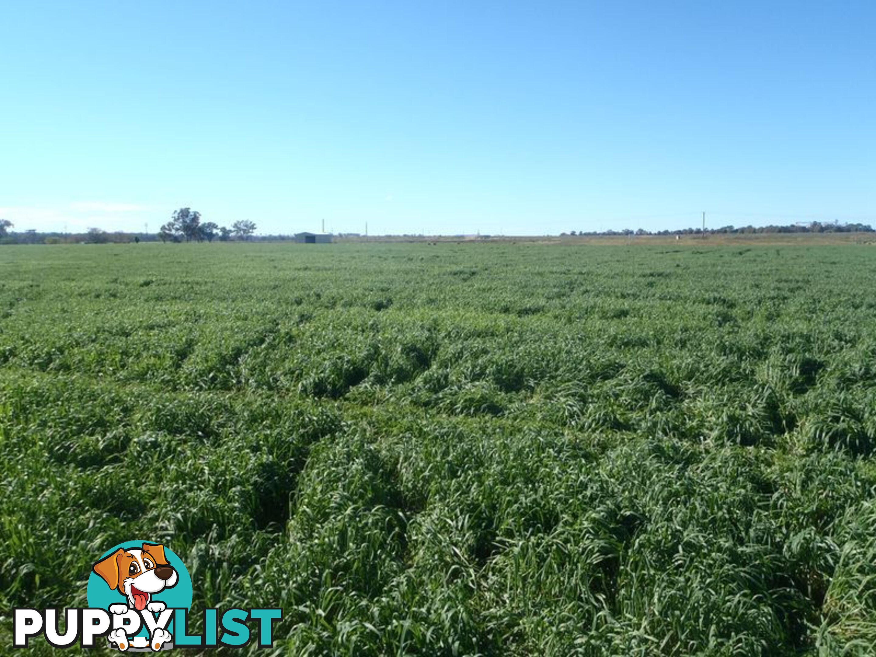 Lot 41 Old Gilgandra Road DUBBO NSW 2830