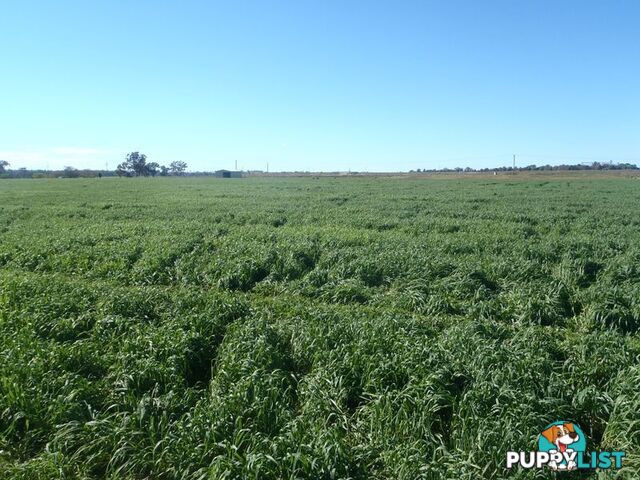 Lot 41 Old Gilgandra Road DUBBO NSW 2830