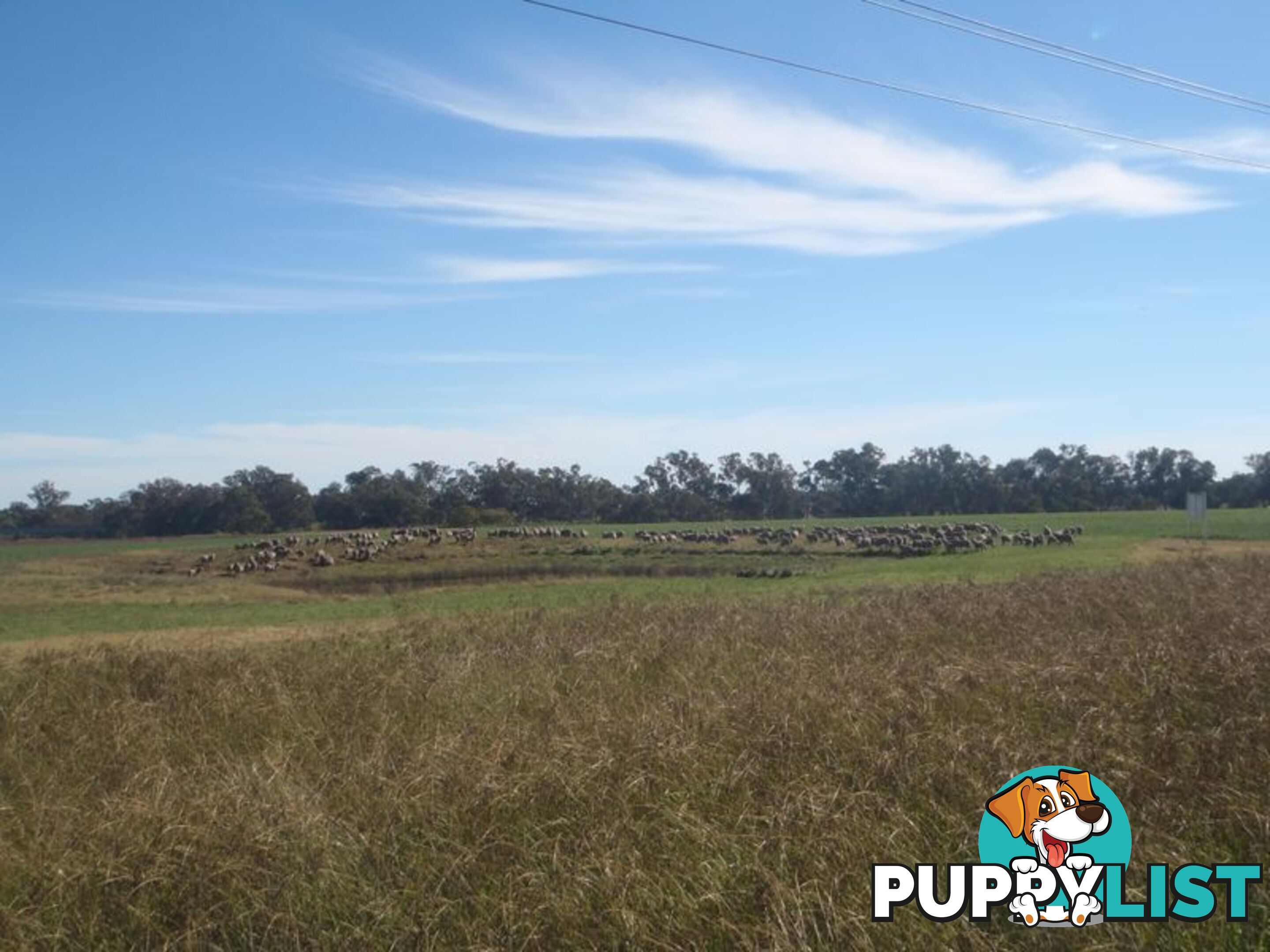 Lot 41 Old Gilgandra Road DUBBO NSW 2830