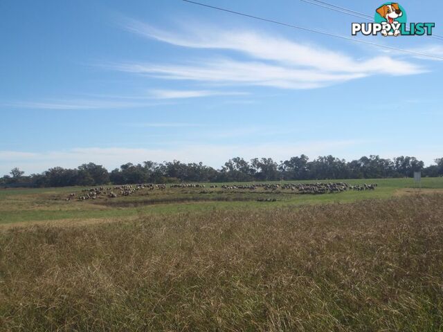 Lot 41 Old Gilgandra Road DUBBO NSW 2830