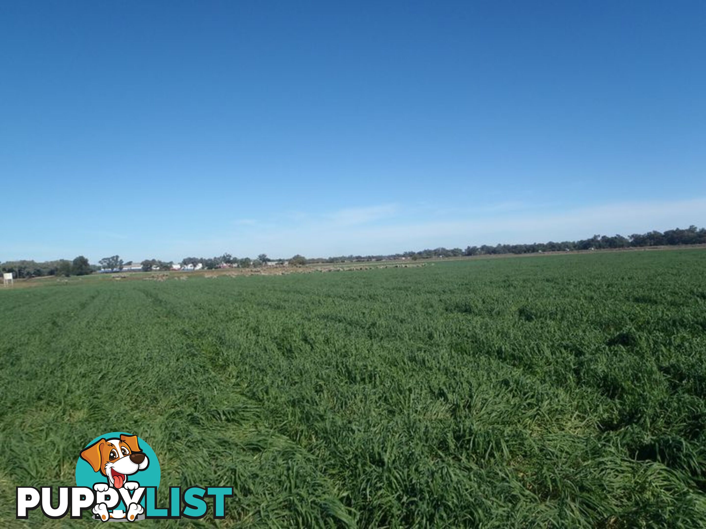 Lot 41 Old Gilgandra Road DUBBO NSW 2830