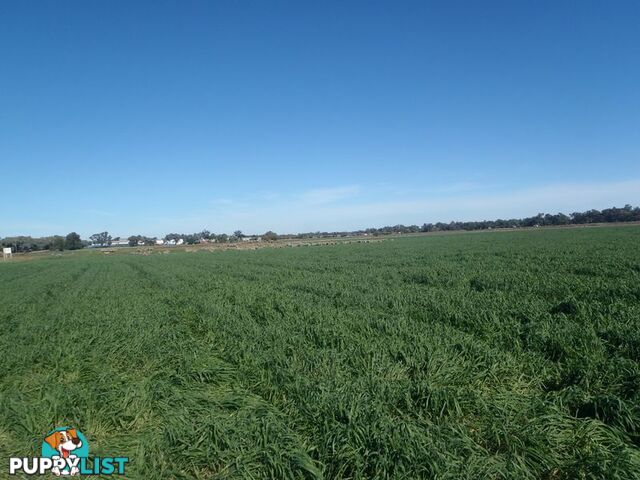 Lot 41 Old Gilgandra Road DUBBO NSW 2830