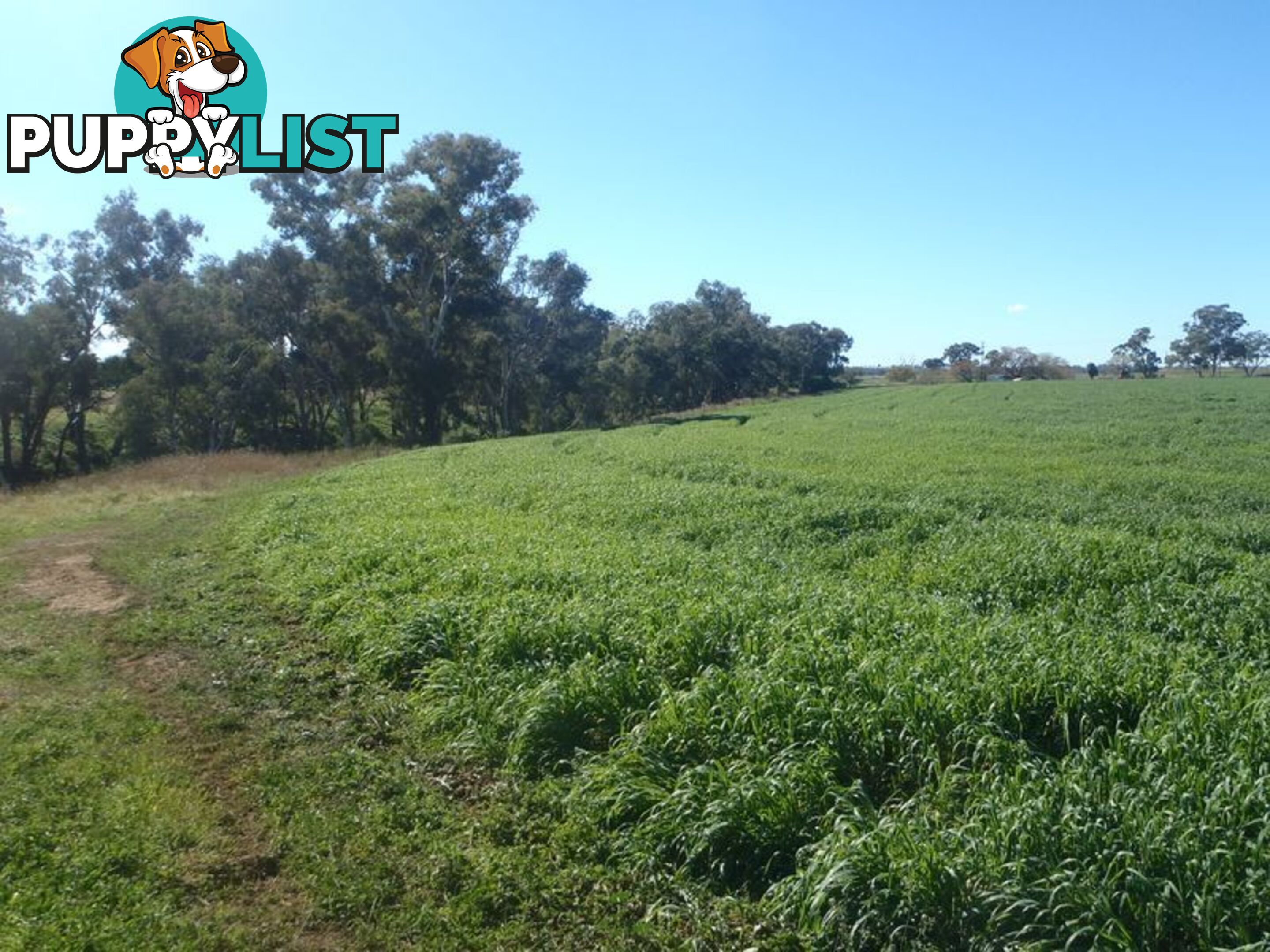 Lot 41 Old Gilgandra Road DUBBO NSW 2830