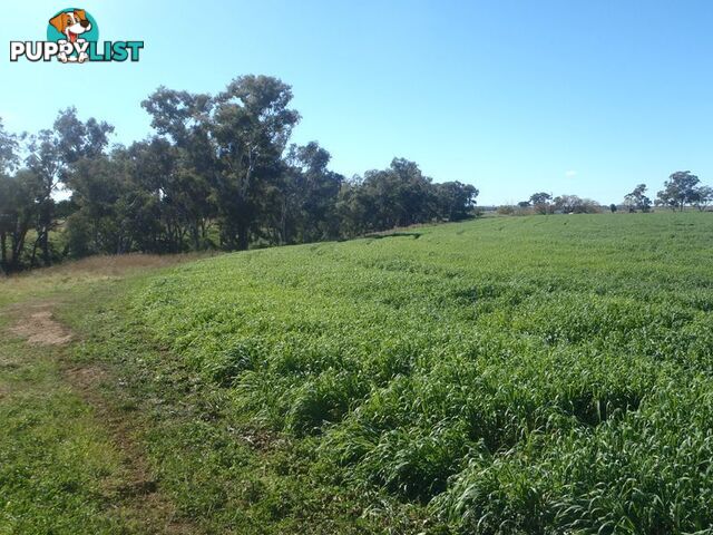 Lot 41 Old Gilgandra Road DUBBO NSW 2830