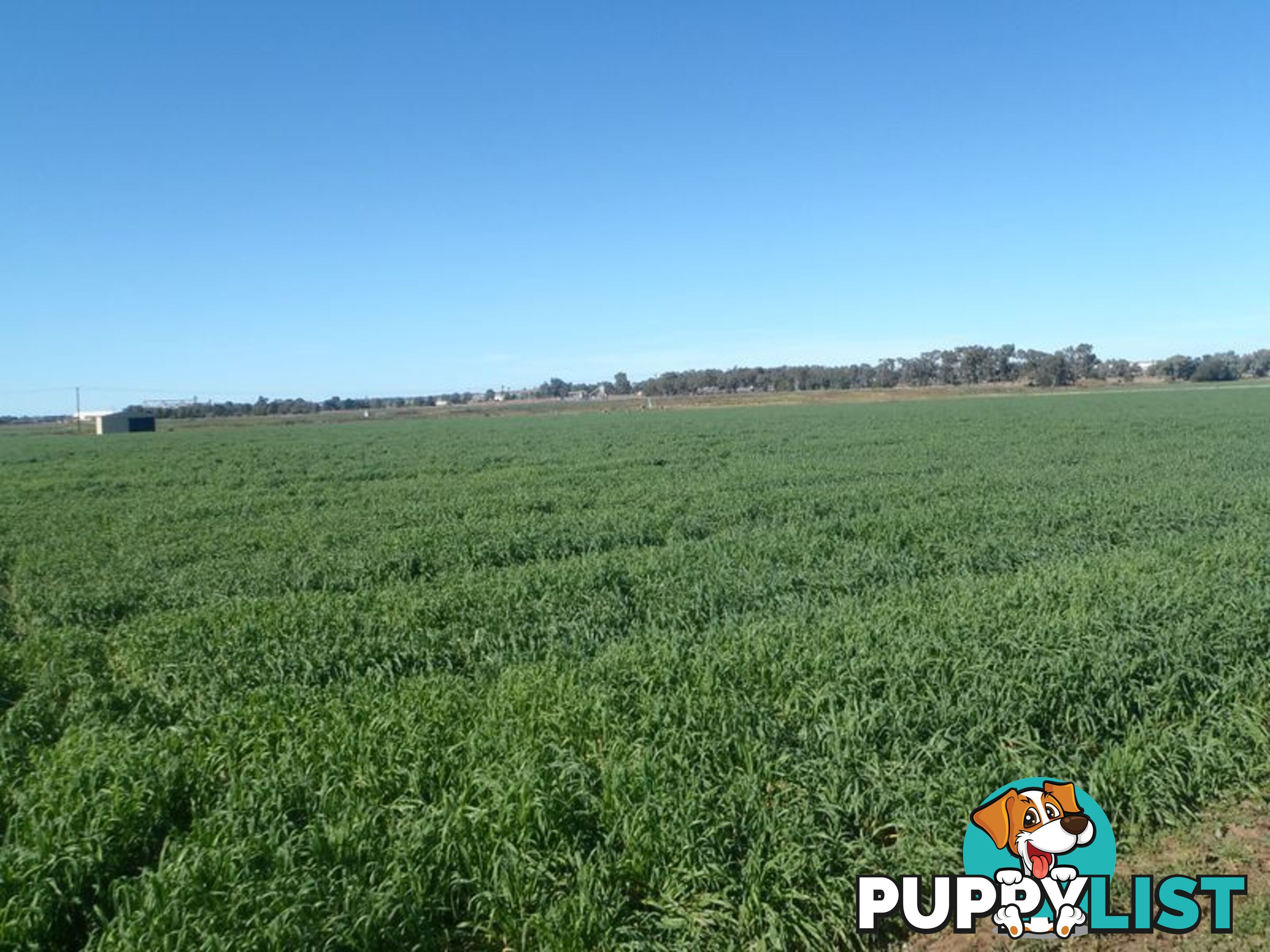 Lot 41 Old Gilgandra Road DUBBO NSW 2830