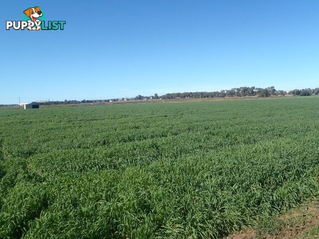 Lot 41 Old Gilgandra Road DUBBO NSW 2830