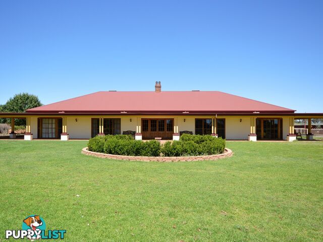 38L Bunglegumbie Road DUBBO NSW 2830