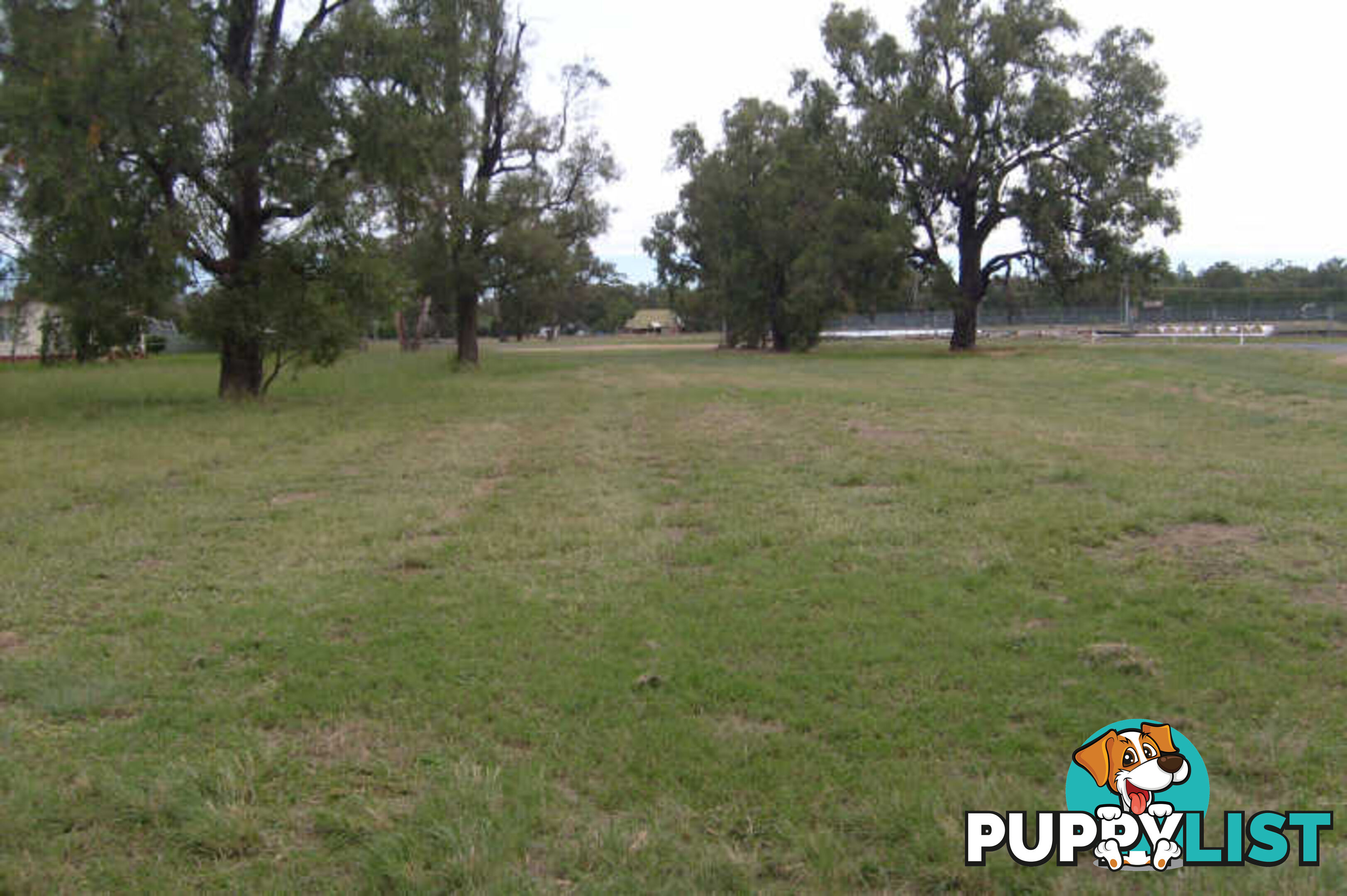 Lot 262 & Wamboin Street GILGANDRA NSW 2827