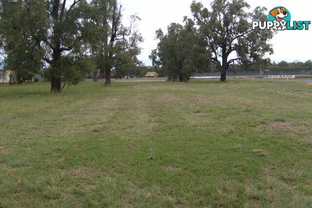 Lot 262 & Wamboin Street GILGANDRA NSW 2827