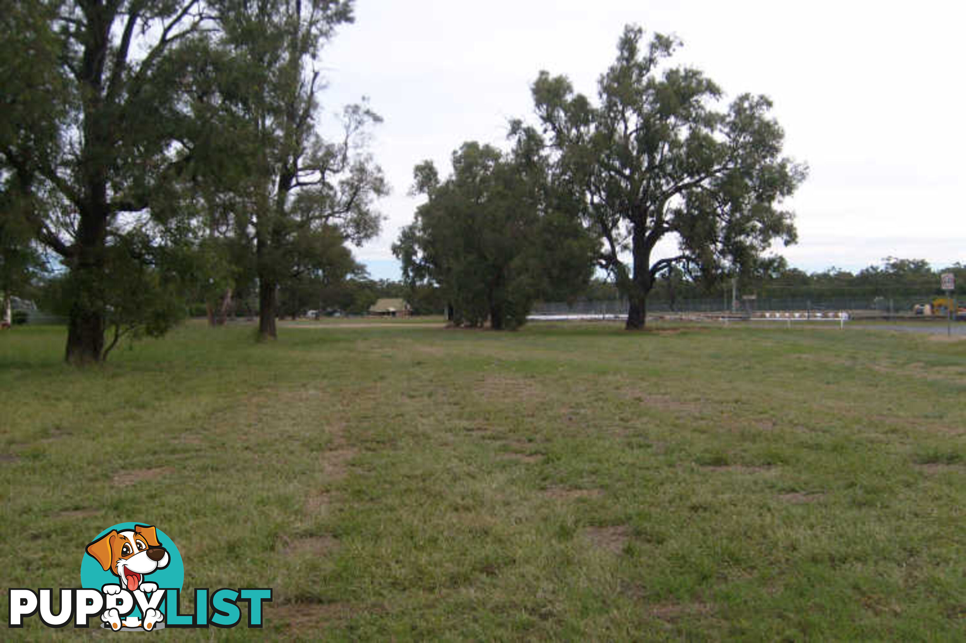 Lot 262 & Wamboin Street GILGANDRA NSW 2827