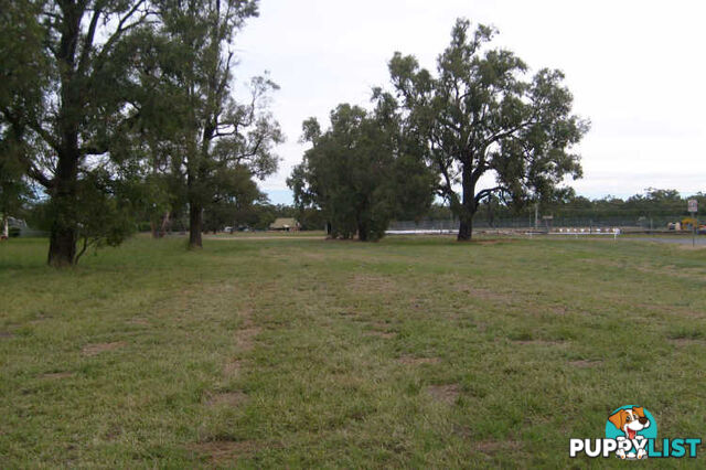 Lot 262 & Wamboin Street GILGANDRA NSW 2827