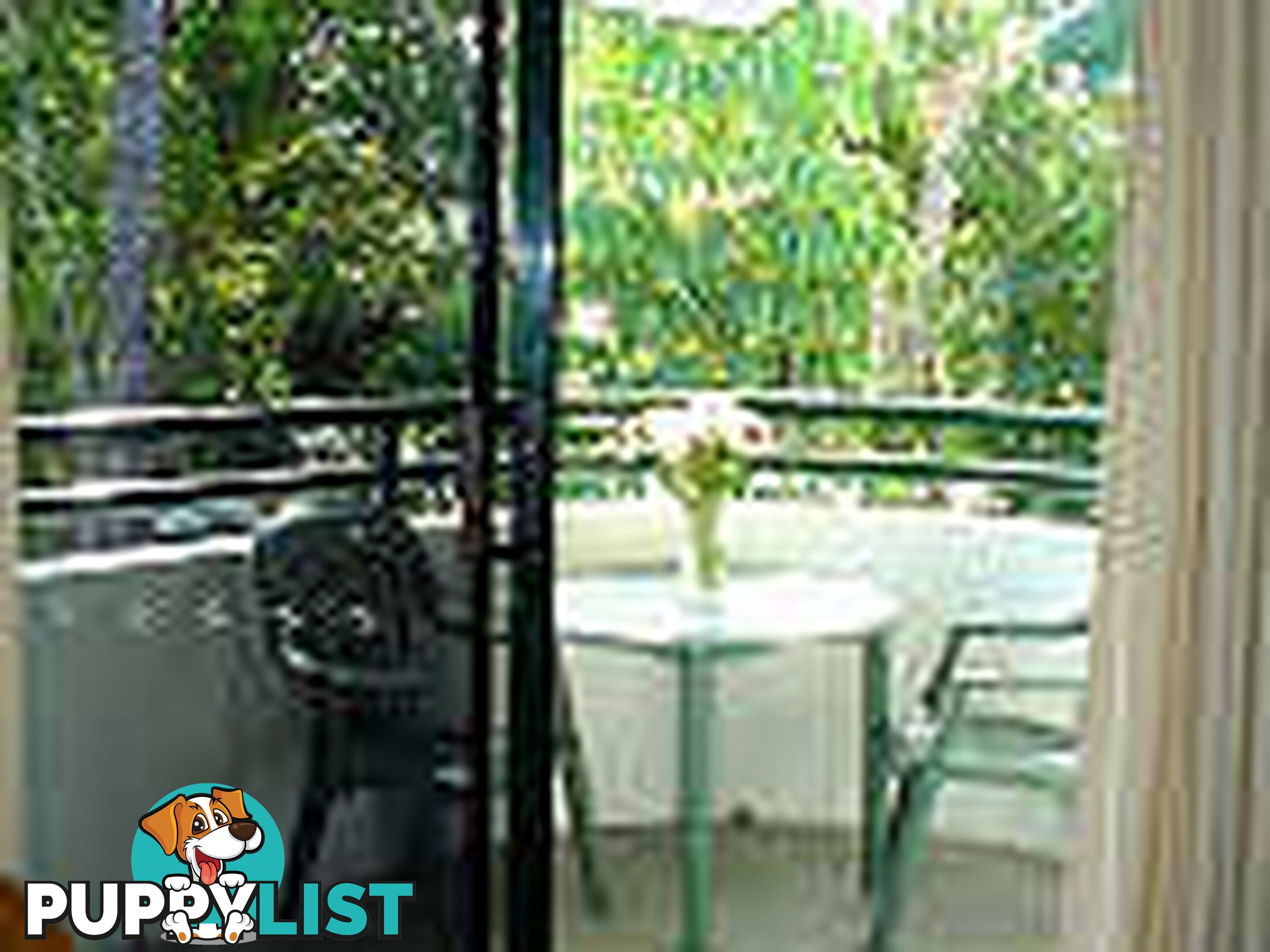Half Moon Bay/ Resort Holiday Apartments YORKEYS KNOB QLD 4878