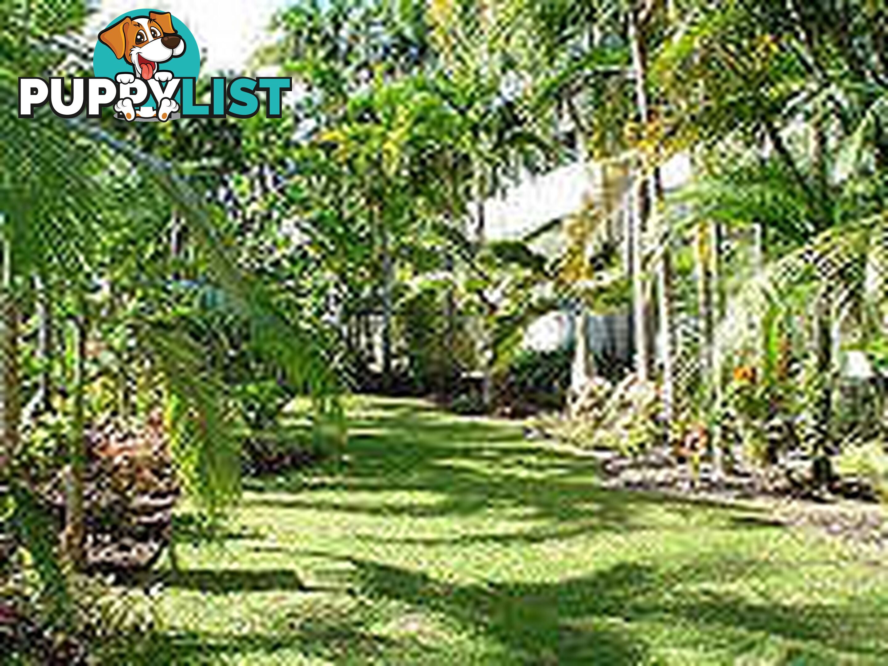 Half Moon Bay/ Resort Holiday Apartments YORKEYS KNOB QLD 4878