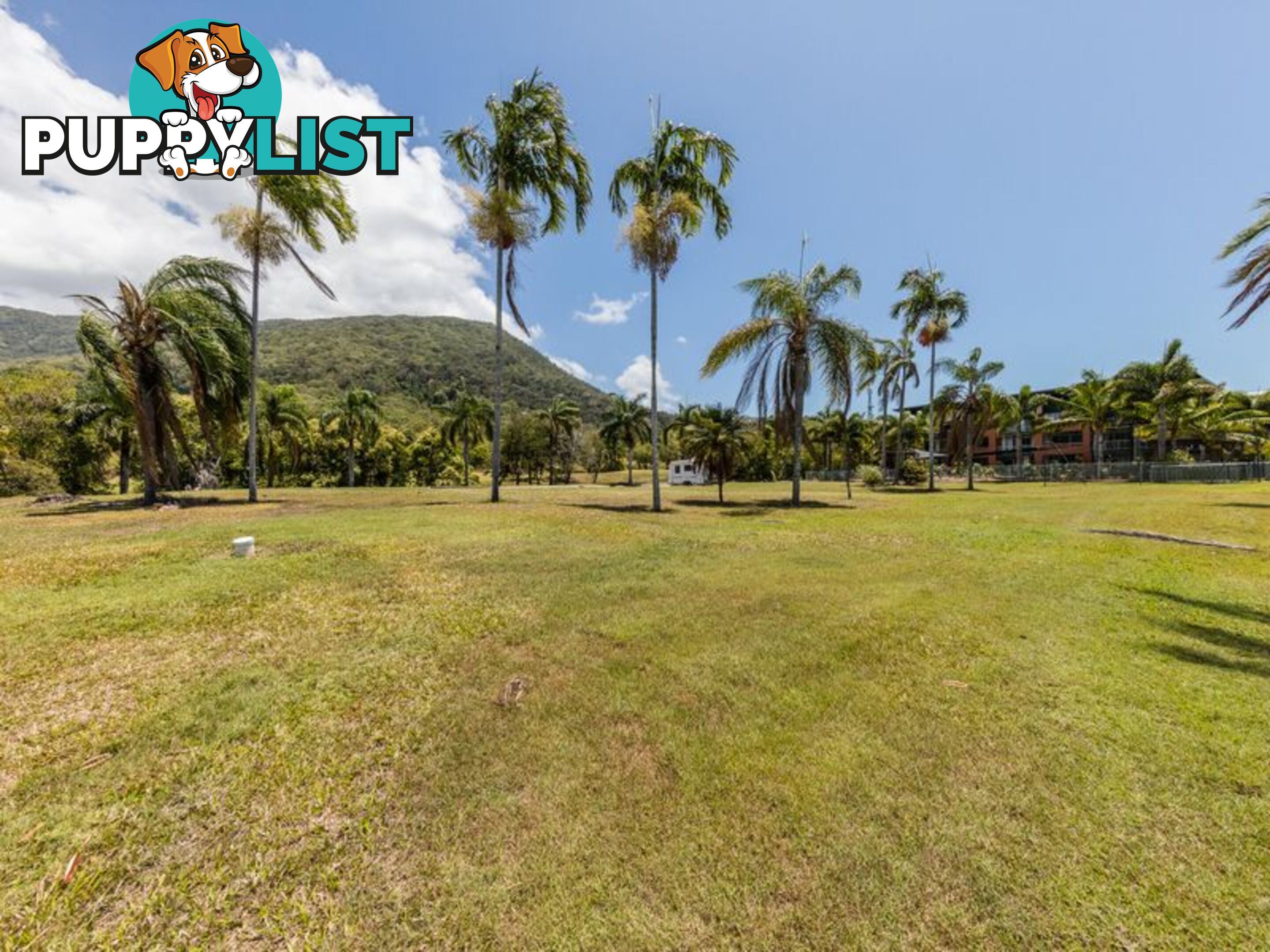 Lot 4 Coral Coast Drive PALM COVE QLD 4879