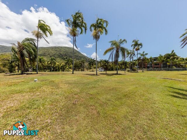 Lot 4 Coral Coast Drive PALM COVE QLD 4879