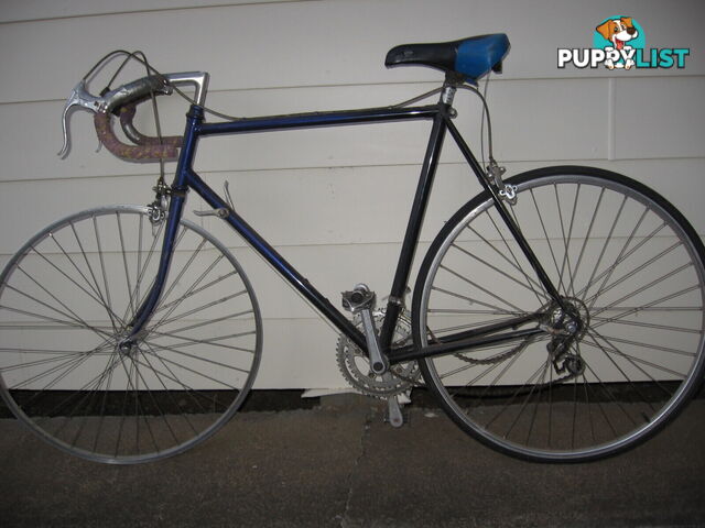 Collector Mystery Bicycle