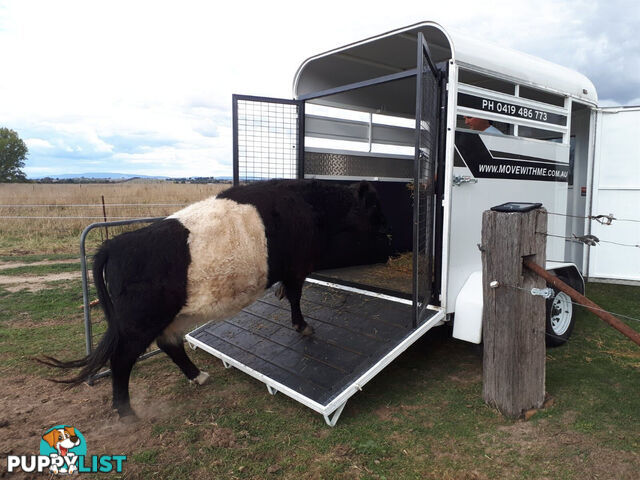 HORSE FLOAT TRAILER